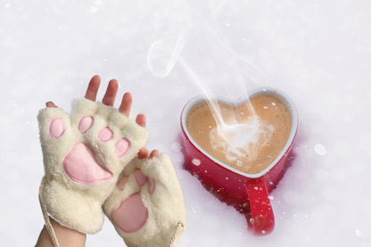 Vinter Tasshandskar