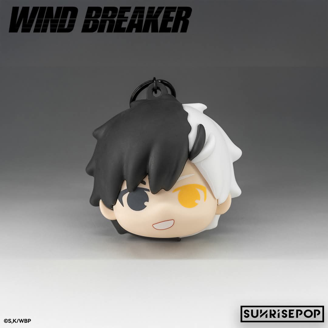 WIND BREAKER Stressboll Blind Box Single Box