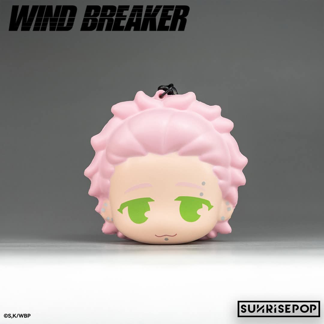 WIND BREAKER Stressboll Blind Box Single Box