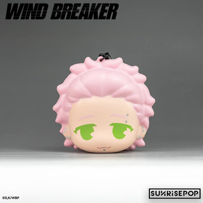 WIND BREAKER Stressboll Blind Box Single Box