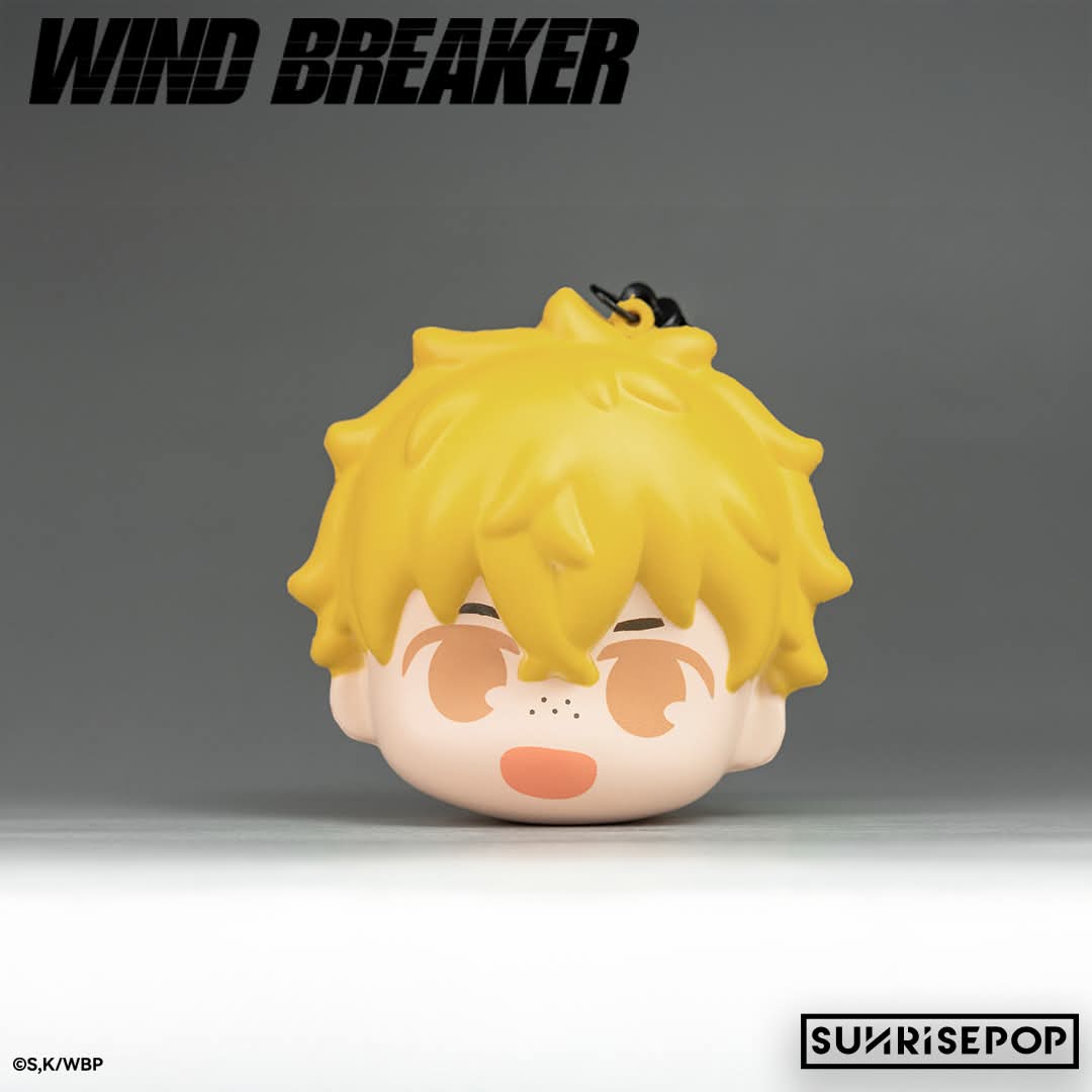 WIND BREAKER Stressboll Blind Box Single Box