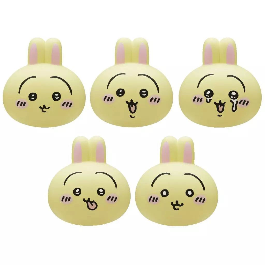 Usagi Squishy Face Blind Box Single Box [Kitan Club]
