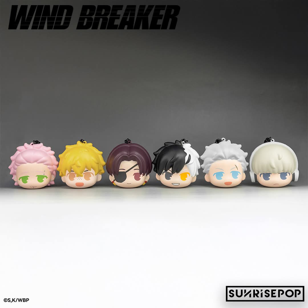 WIND BREAKER Stressboll Blind Box Single Box