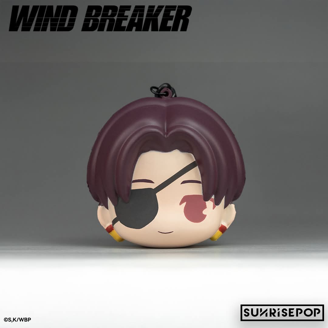 WIND BREAKER Stressboll Blind Box Single Box