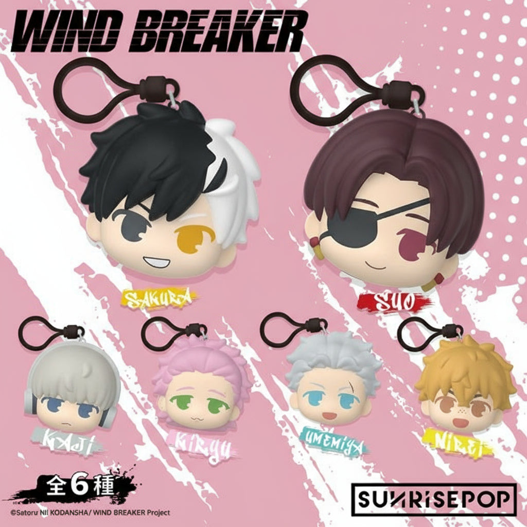 WIND BREAKER Stressboll Blind Box Single Box